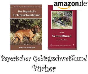 Bayerischer Gebirgsschweißhund