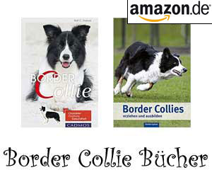 Border Collie Bücher