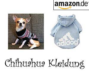 Chihuahua Kleidung