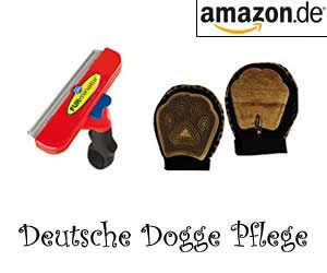 Deutsche Dogge Pflege