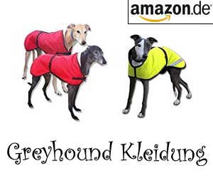 Greyhound Kleidung