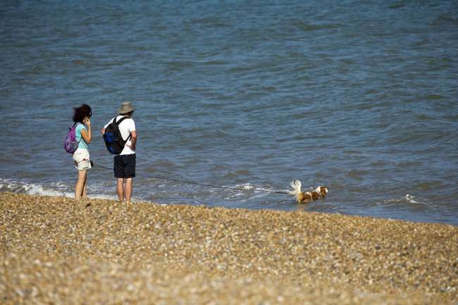 Urlaub mit Hund an der Küste Kroatiens