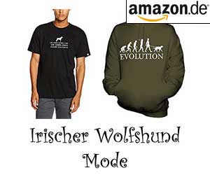 Irischer Wolfshund Mode