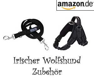 Irischer Wolfshund Zubehör