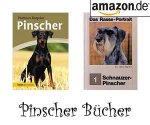 Pinscher Bücher