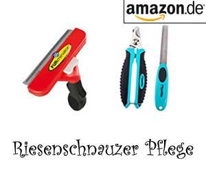 Riesenschnauzer Pflege