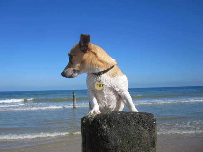 Urlaub am Meer in Polen an der Ostsee