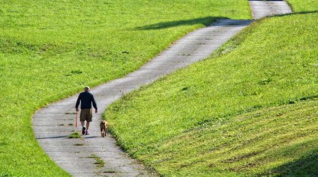 Wanderurlaub mit Hund in Österreich