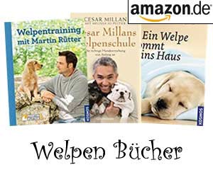 Welpen Bücher