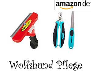 Wolfshund Pflege