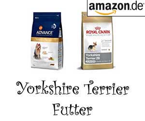 Yorkshire Terrier Futter