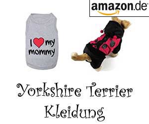 Yorkshire Terrier Kleidung