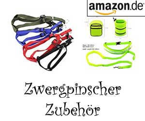 Zwergpinscher Zubehör